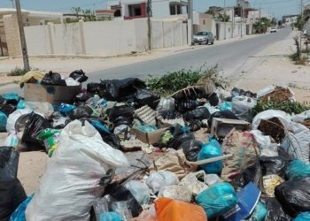 Déchets ménagers en Tunisie : 3,3 millions de tonnes par an, un défi environnemental majeur